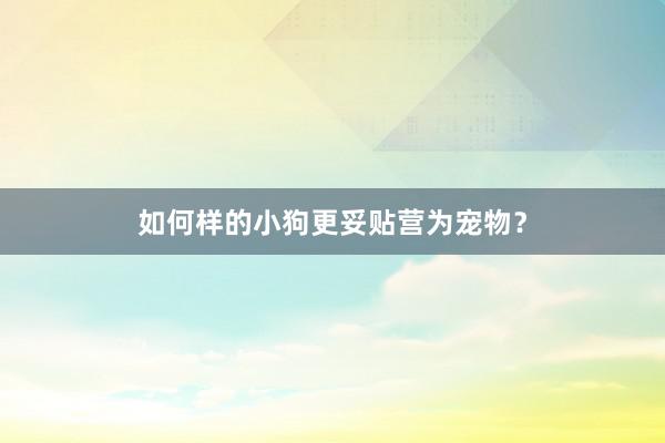 如何样的小狗更妥贴营为宠物？
